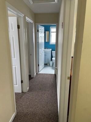 Toallas y papel de baño 