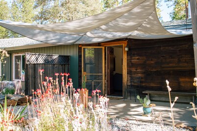 Charming 1-bedroom Cabin in the Forest Nevada City with AC, WiFi