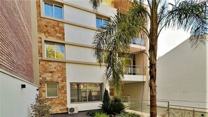Un edificio moderno con terraza de madera, fachada de piedra y una palmera.