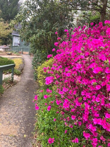 The Crows Nest Apt; Asheville; Smoky Mtns