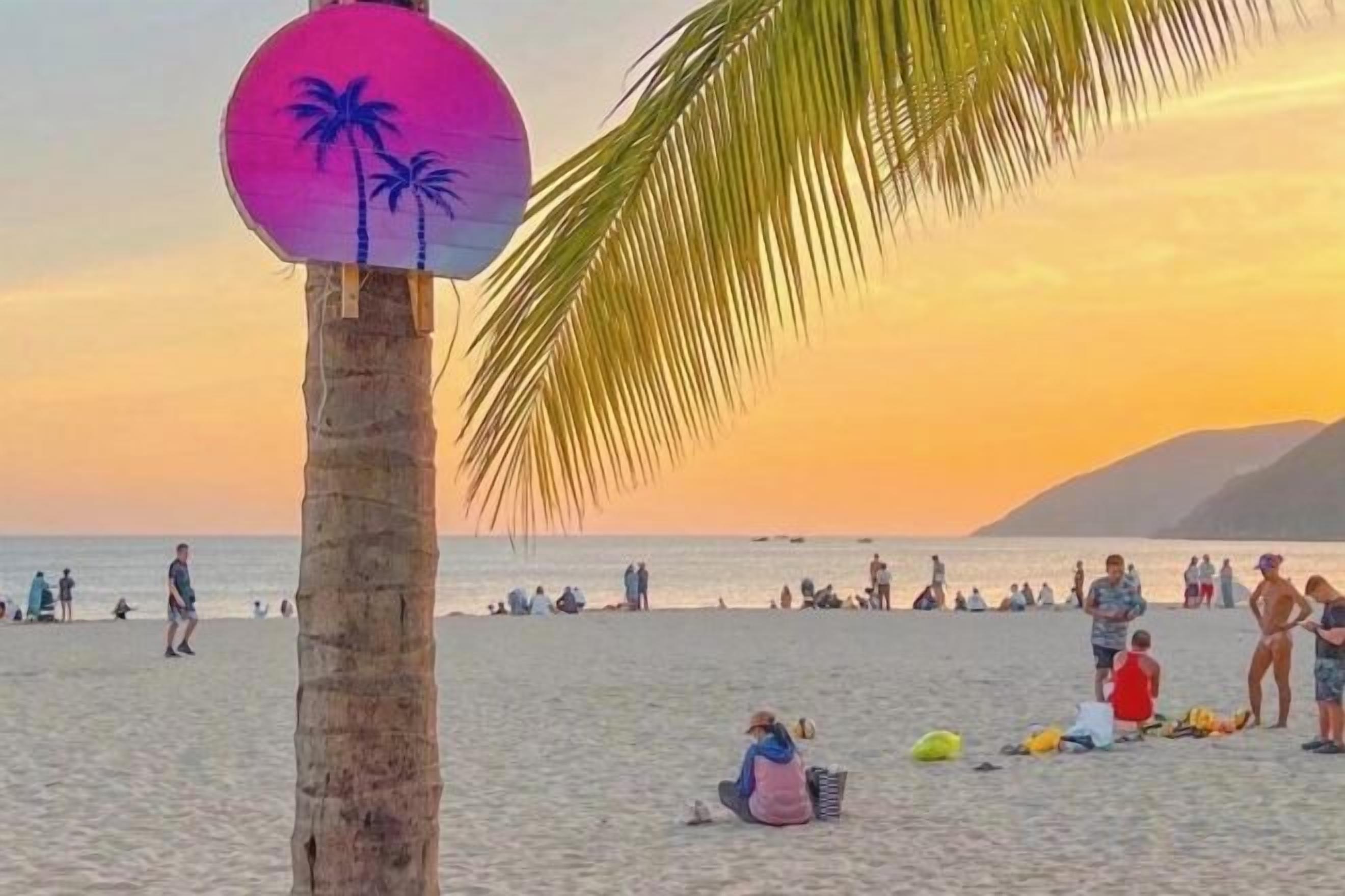 Escena de playa con gente, una palmera y un atardecer.