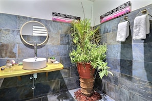 Shower, hair dryer, towels