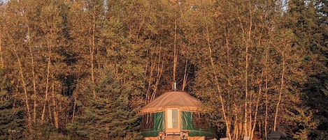 Extérieur