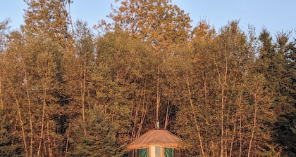 Rustic farmstay in a cozy yurt
