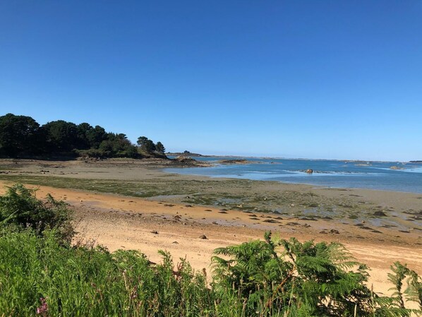 A beach with a sandy shore, some vegetation, and a clear blue sky.