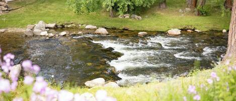 Terrein van de accommodatie