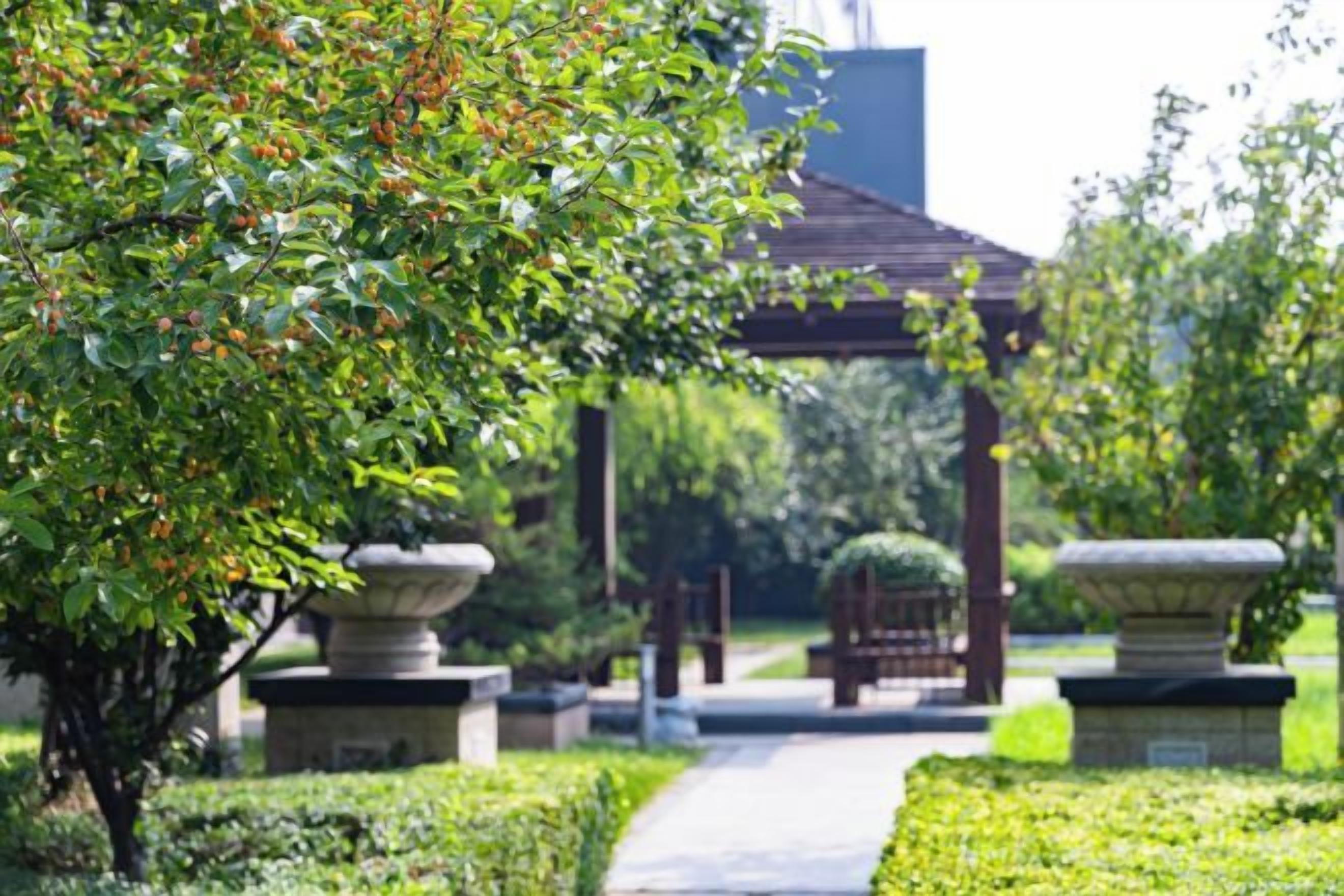 A pathway leading to a traditional Japanese-style structure with stone lanterns and a well-maintained garden.