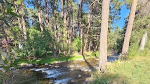 Paisagem natural com um riacho, cercada por árvores altas e pedras.