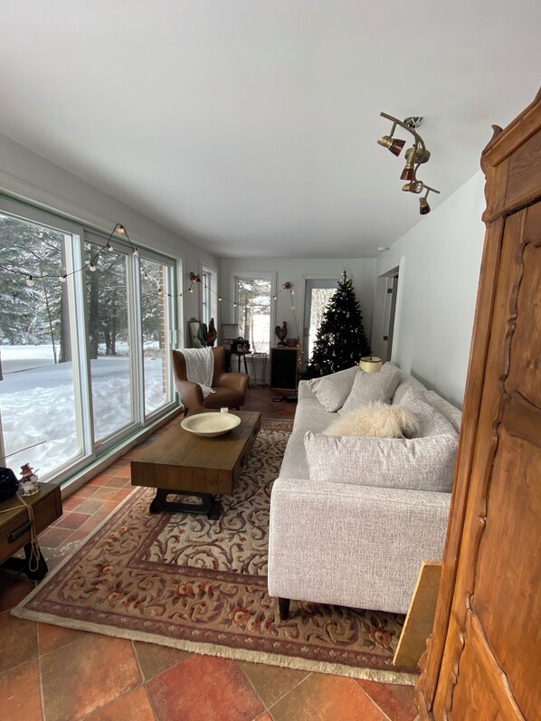 Smart TV, fireplace, video games, DVD player