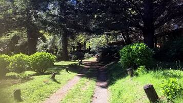 花園