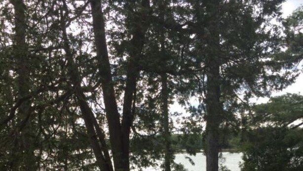 En träveranda med ett picknickbord och bänkar med utsikt över en sjö.