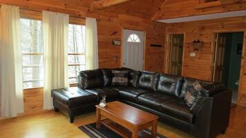 TV, fireplace, DVD player, books