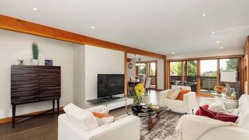 TV, fireplace