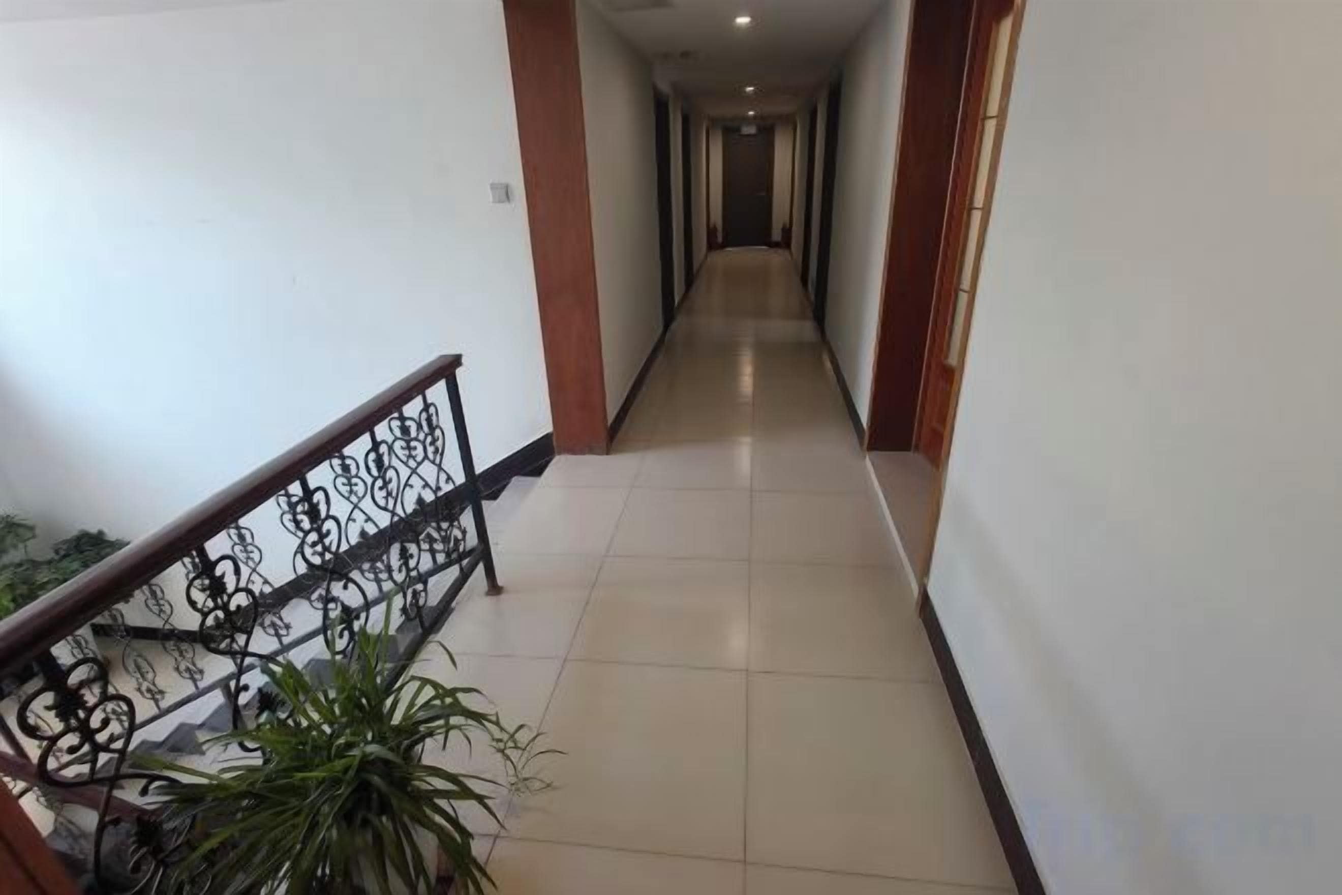 A corridor with a metal railing and potted plants.