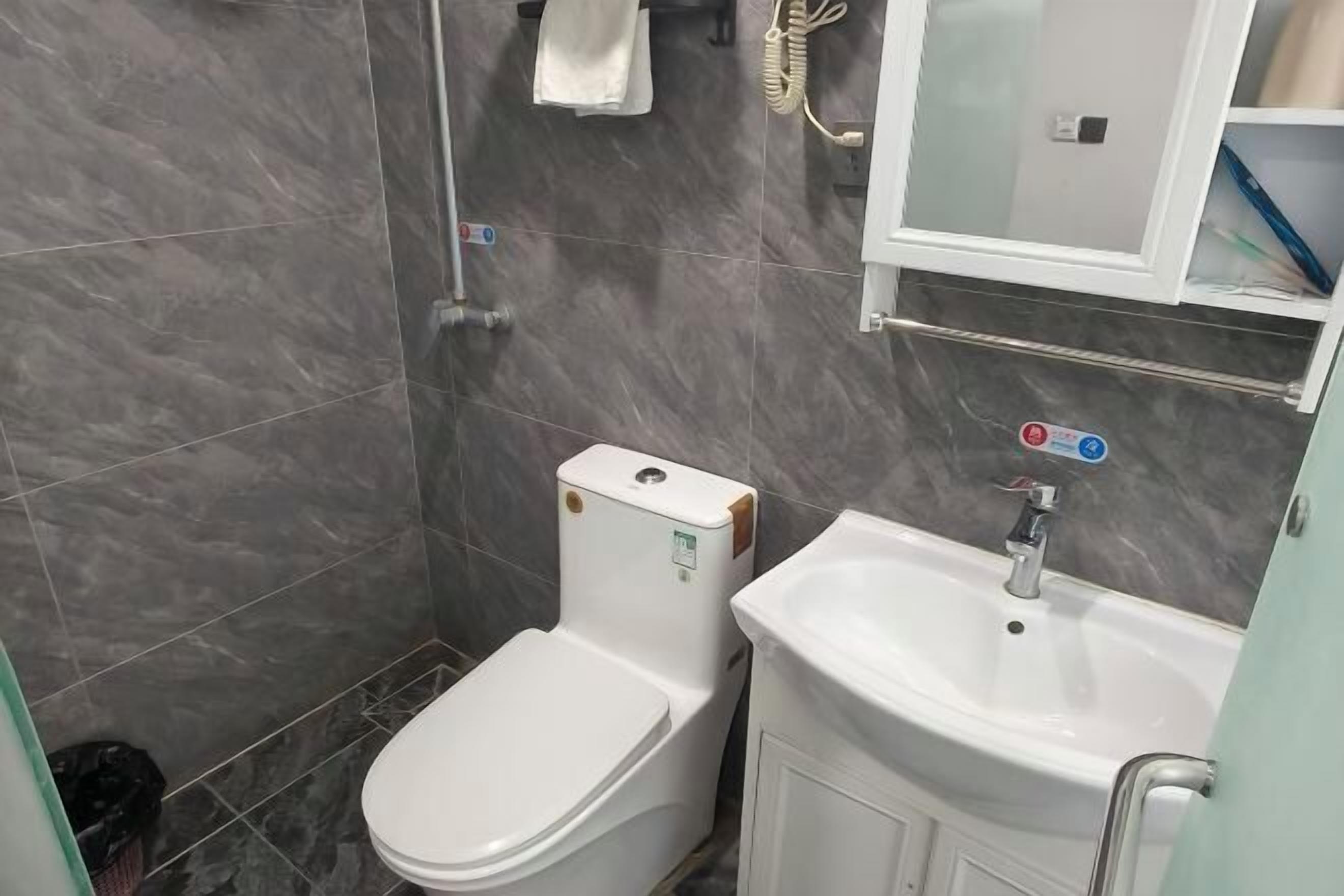 A bathroom with a toilet, sink, and a mirror cabinet.