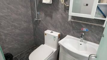 A bathroom with a toilet, sink, and a mirror cabinet.