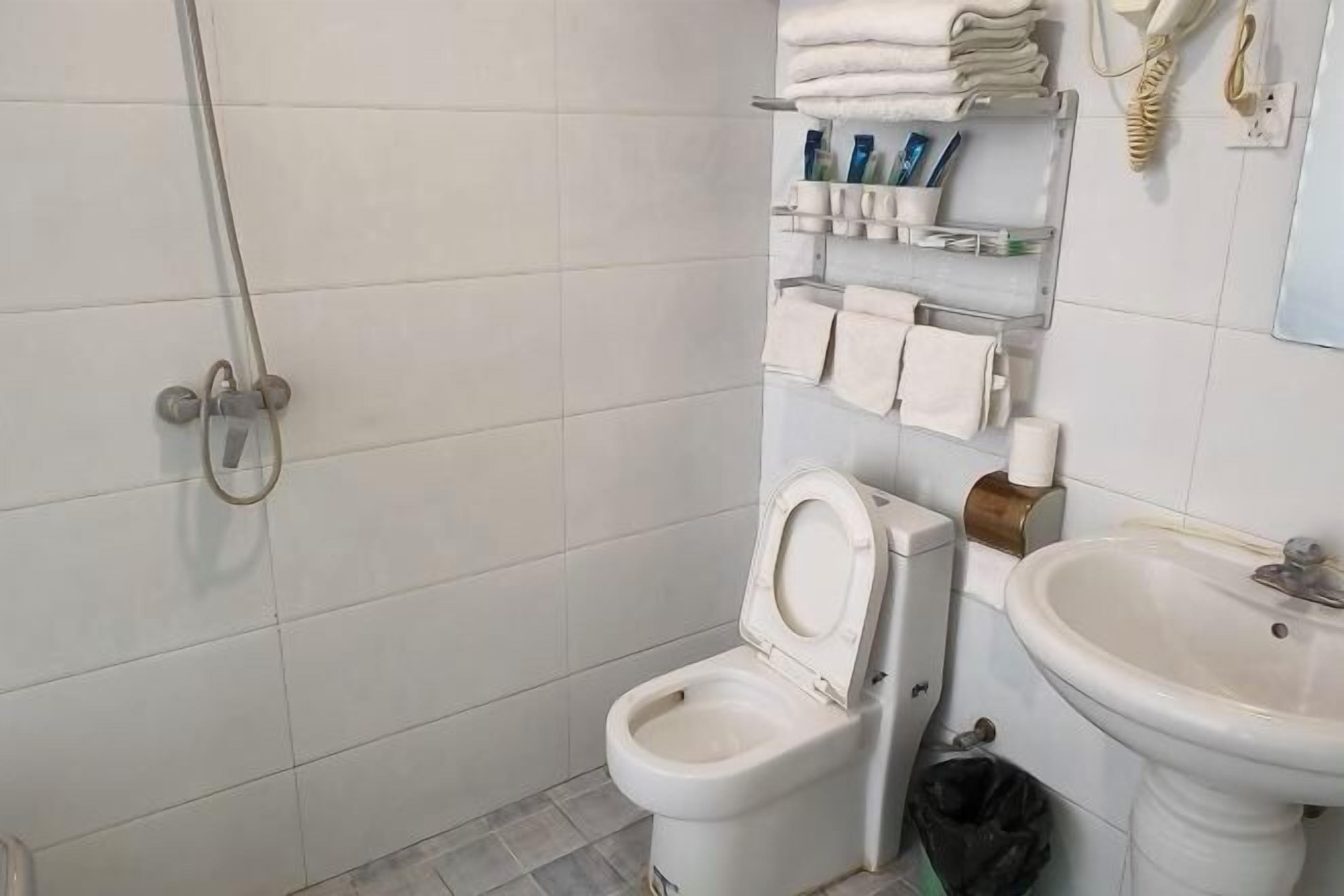 Une petite salle de bain comprenant des toilettes, un lavabo, une douche et des étagères où sont rangés les produits de toilette.