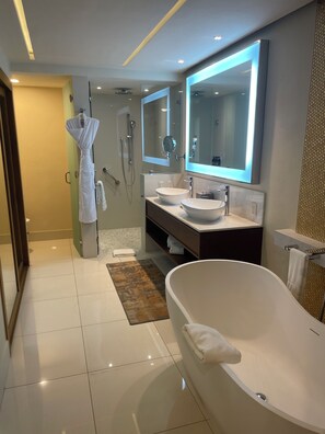 Shower, hair dryer, bidet, towels