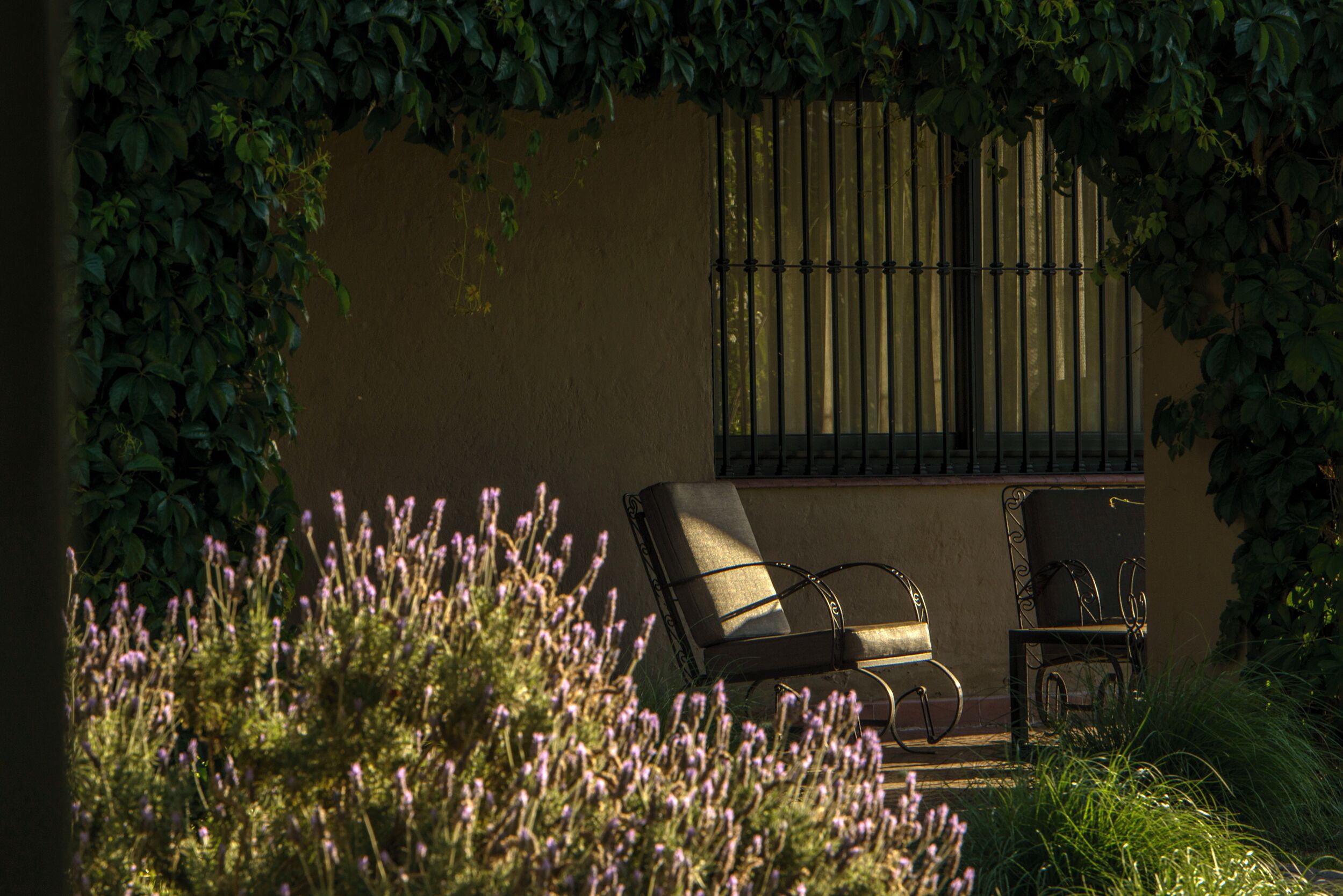 A sunlit outdoor seating area with a lounge chair and a small table, surrounded by lush greenery and flowering plants.