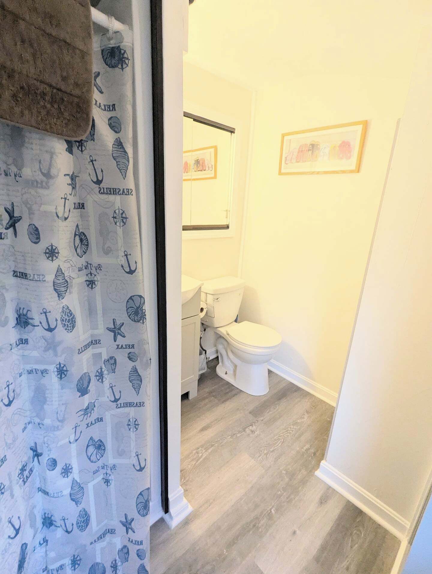 A bathroom with a toilet, a sink, and a mirror. There is a shower curtain with a nautical theme.