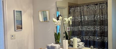 Secador de pelo, toallas, champú y papel higiénico