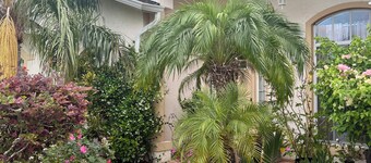 Private Quiet Room for Rent near Tampa, FL – Ideal for Students or Professionals