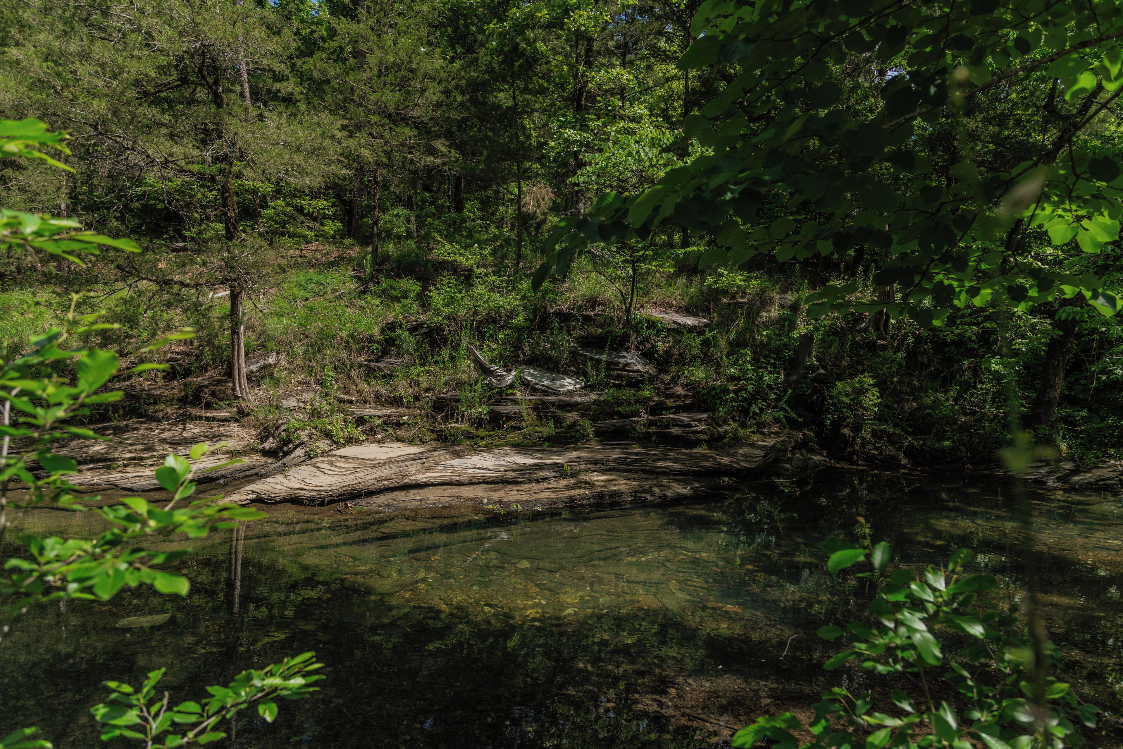 A natural landscape with a clear water body, surrounded by dense greenery and trees.