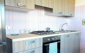 Fridge, oven, stovetop, dishwasher