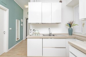 Oven, stovetop, cookware/dishes/utensils