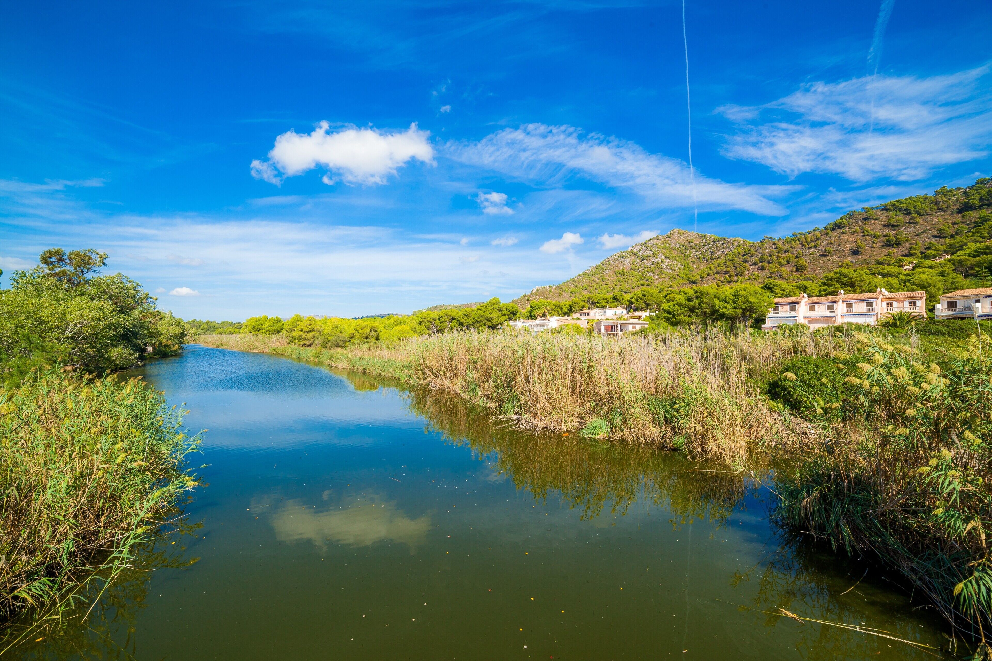 Un río con edificios a la derecha, rodeado de vegetación.