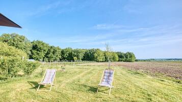 Twee loungesteunen in een grasveld, met een heldere lucht en bomen op de achtergrond.