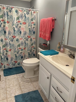 Secadora de cabello, toallas, papel de baño 