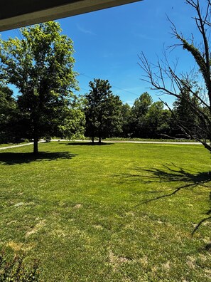 Un espace extérieur verdoyant, avec des arbres et un ciel dégagé.