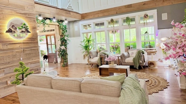 A spacious living room with a high ceiling, wooden flooring, and a large window providing natural light. There is a beige sofa, a coffee table, and various plants adding greenery.