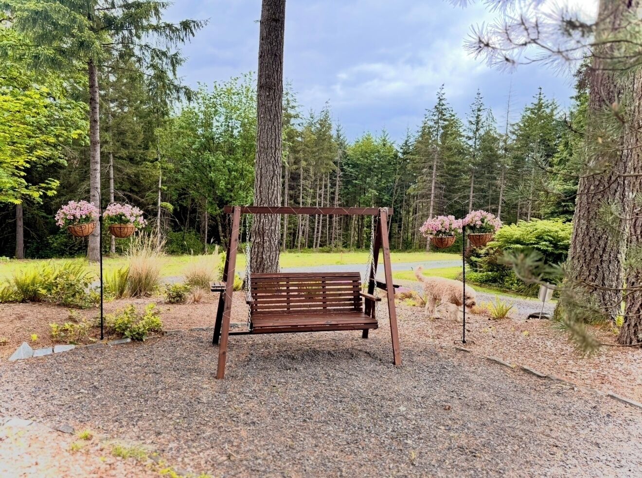 A wooden swing set in a forested area with gravel ground.