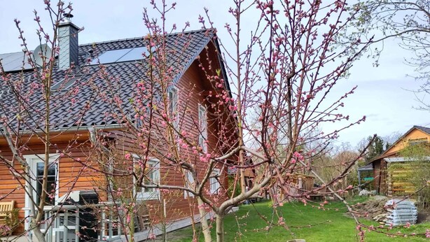 A wooden house with a sloped roof and a well-maintained lawn. - Ferienwohnung mit Fahrrädern und Garten (Müncheberg)