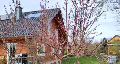 Ferienwohnung im Holzhaus