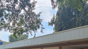 A building with a flat roof and a covered outdoor area with numbered doors. - Moonlight lodge (Puerto Princesa)