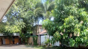 A gravel driveway leading to a building with a covered porch and a fenced yard with trees and a small garden. - Moonlight lodge (Puerto Princesa)