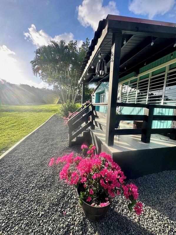 Enceinte de l’hébergement