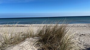 A beach with sand and sparse vegetation. - Holiday near one of Denmark's best beaches (Idestrup)