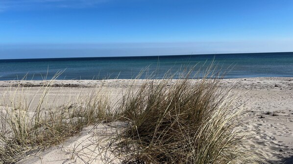 Ein Strand mit Sand und vereinzelter Vegetation.