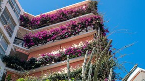 Un immeuble à plusieurs étages doté de balcons ornés de fleurs violettes et de cactus.