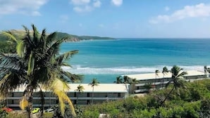 Un hôtel situé sur la côte, offrant une vue sur l’océan et les palmiers.