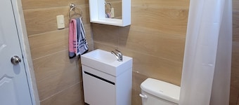 3-Bedroom Apartment (Suitable for Families and Work Groups)