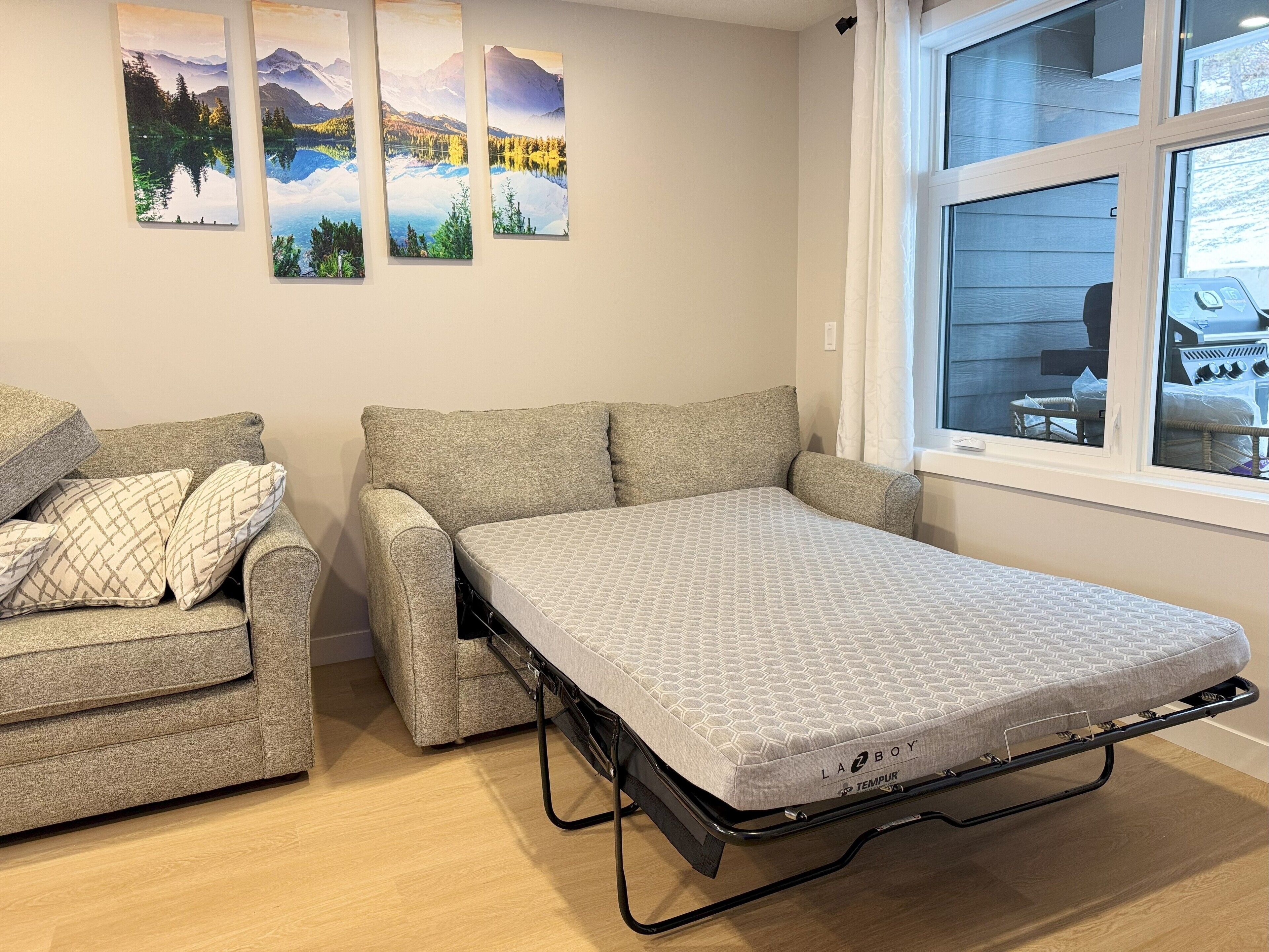 A compact room with a sofa and a foldable bed.
