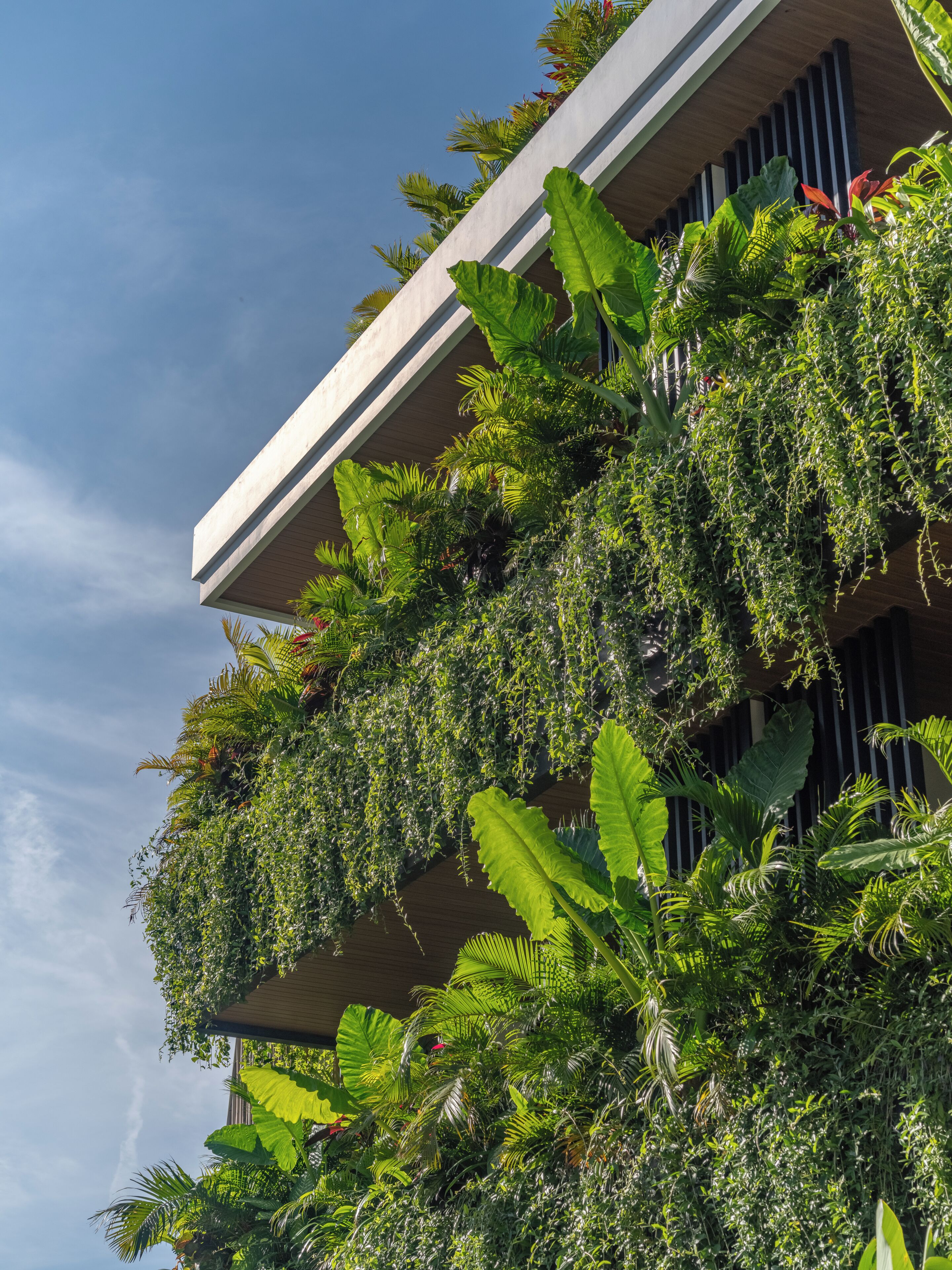 Mặt tiền nơi lưu trú