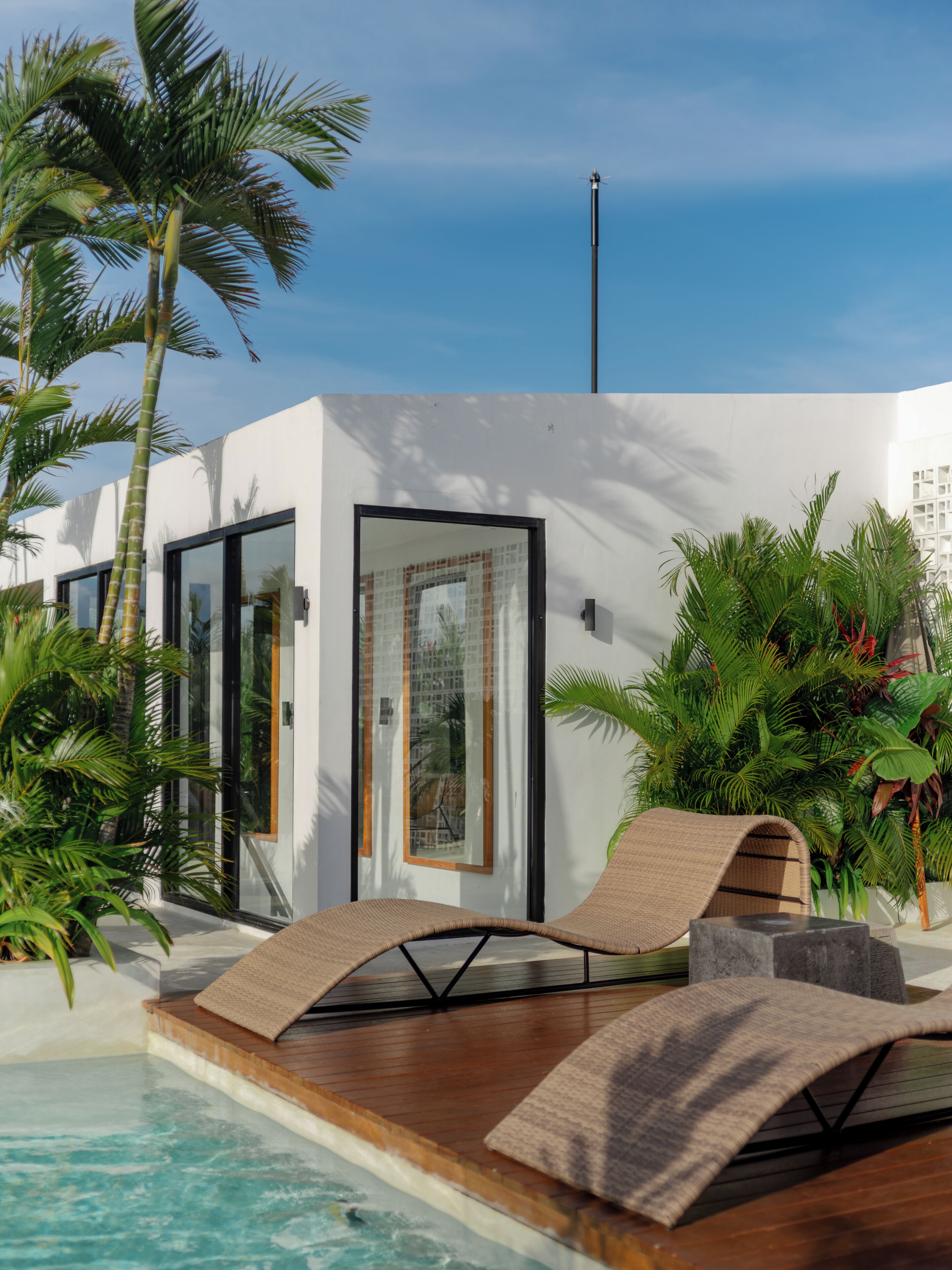 A modern poolside area with lounge chairs, a pool, and tropical plants.
