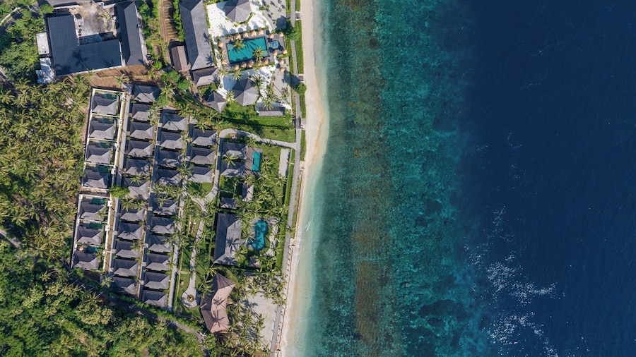 Seven Dreams A Pramana Experience