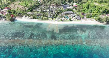 Seven Dreams A Pramana Experience